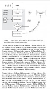 chicken essay